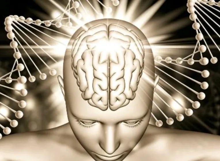 Transformación Neuroemocional